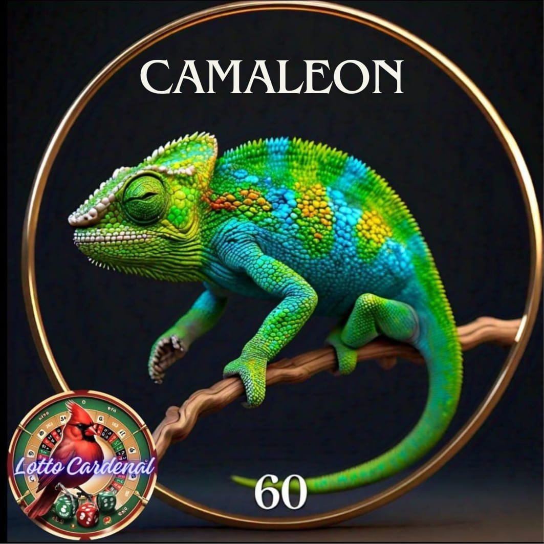 60-camaleon